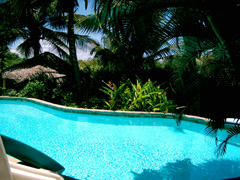 Sport Travels Dominican Republic Caribbean