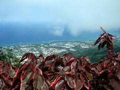 Pico Isabel de Torres &uuml;ber Puerto Plata, 1h von Cabarete
