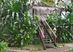 tarzan house view from outside