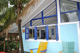 tarzan house view from the terrace